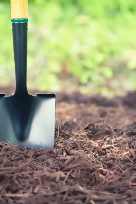 Mulch Otago