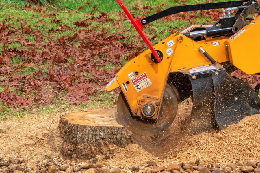 Stump grinding Otago